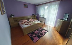 Apartament Berezka 667-108-706